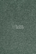 Ковролин AW Masquerade Moana 27 фото 1 | FLOORDEALER